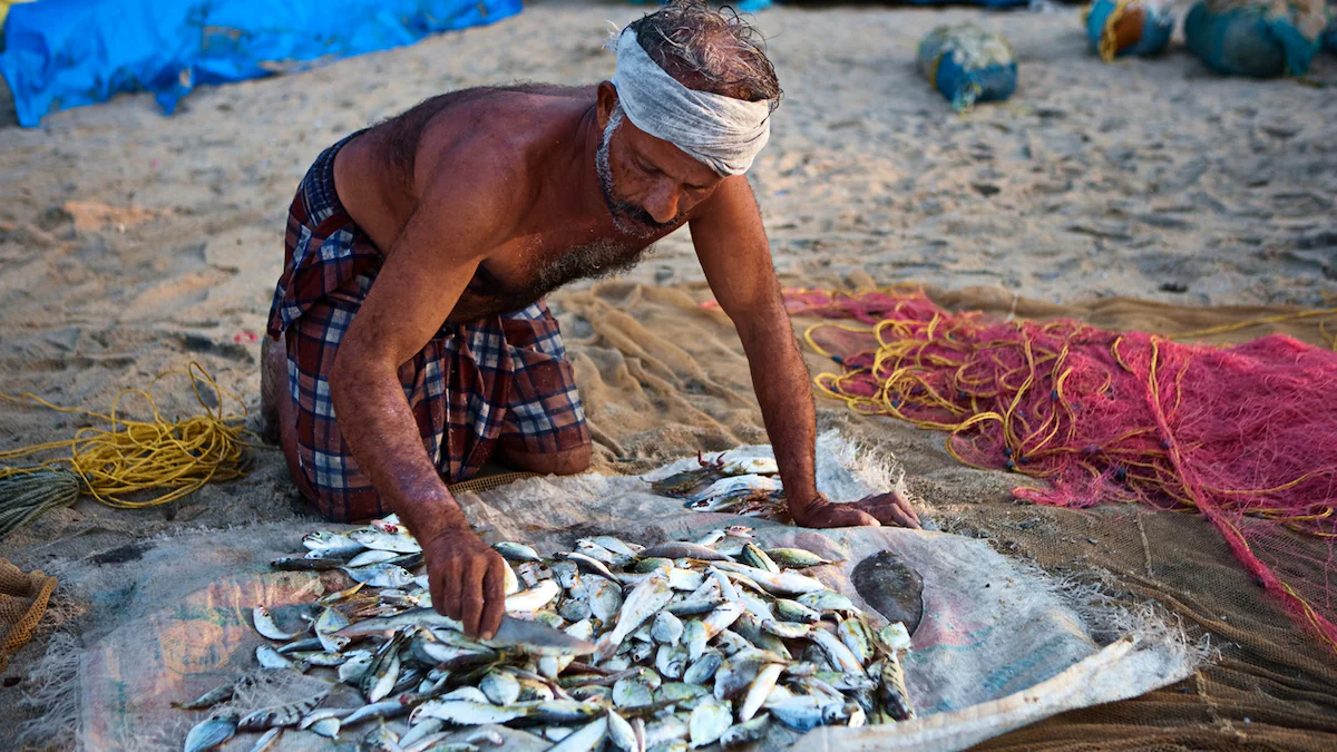 Empowering fishermen