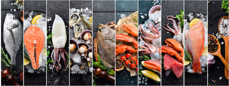 Storing Seafood the Right Way