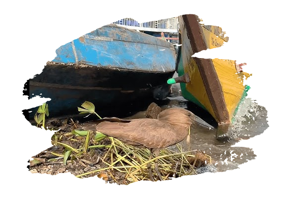 Transform waste into wealth