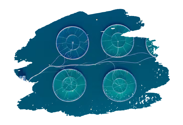 Leverage cutting-edge technology