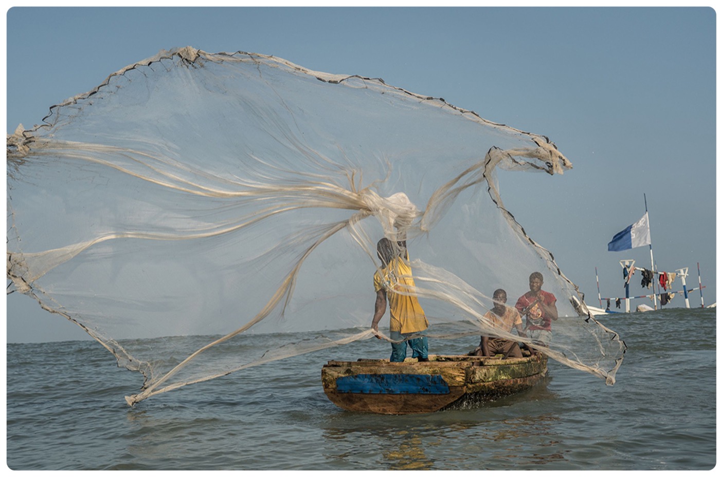 Fresh seafood from the ocean