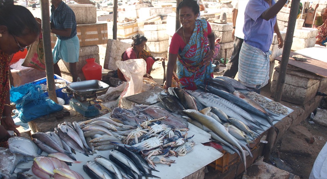 From boat to market